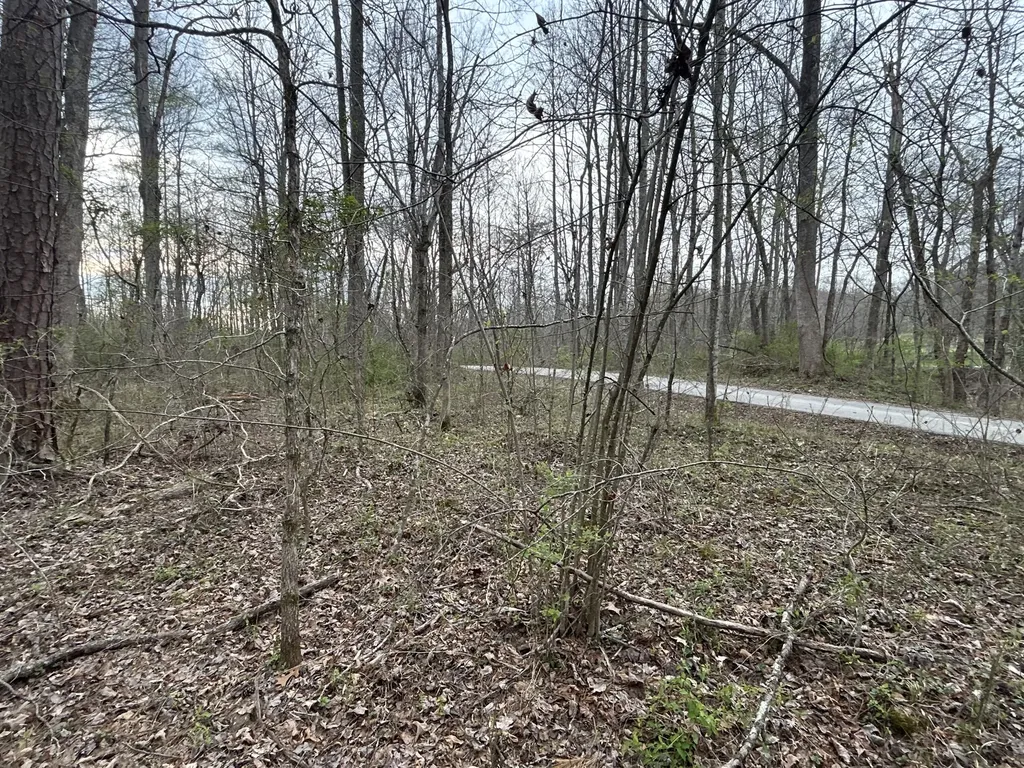 70 Millstone Road Clay City KY 40312