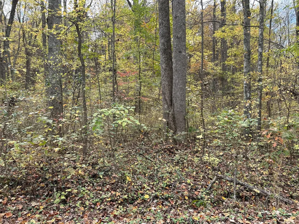 70 Millstone Road Clay City KY 40312