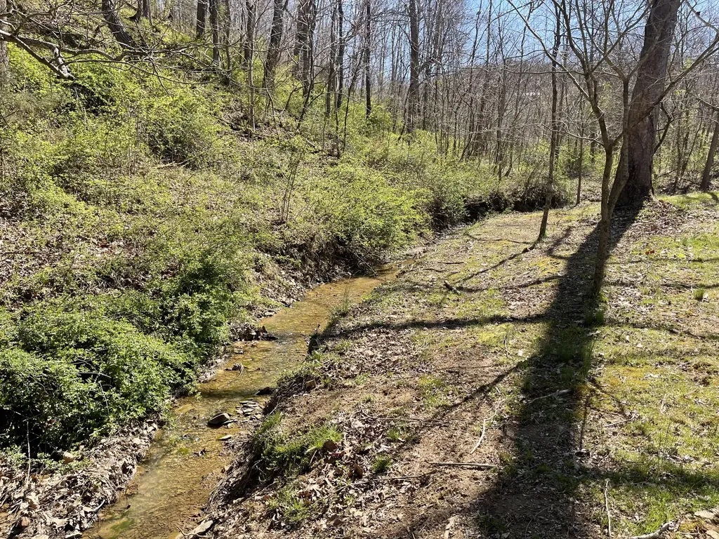 7581 Mcwhorter Road London KY 40741