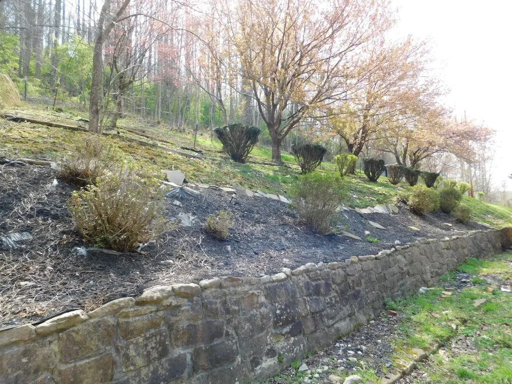 116 Wolf Hollow Road Baxter KY 40806