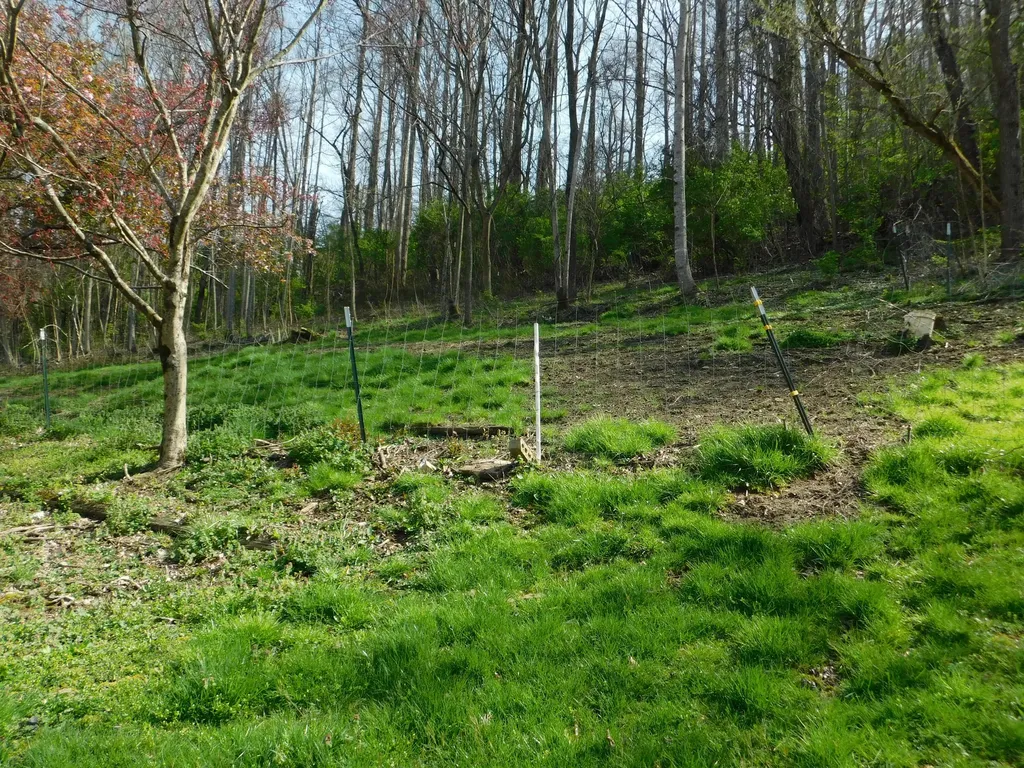 116 Wolf Hollow Road Baxter KY 40806
