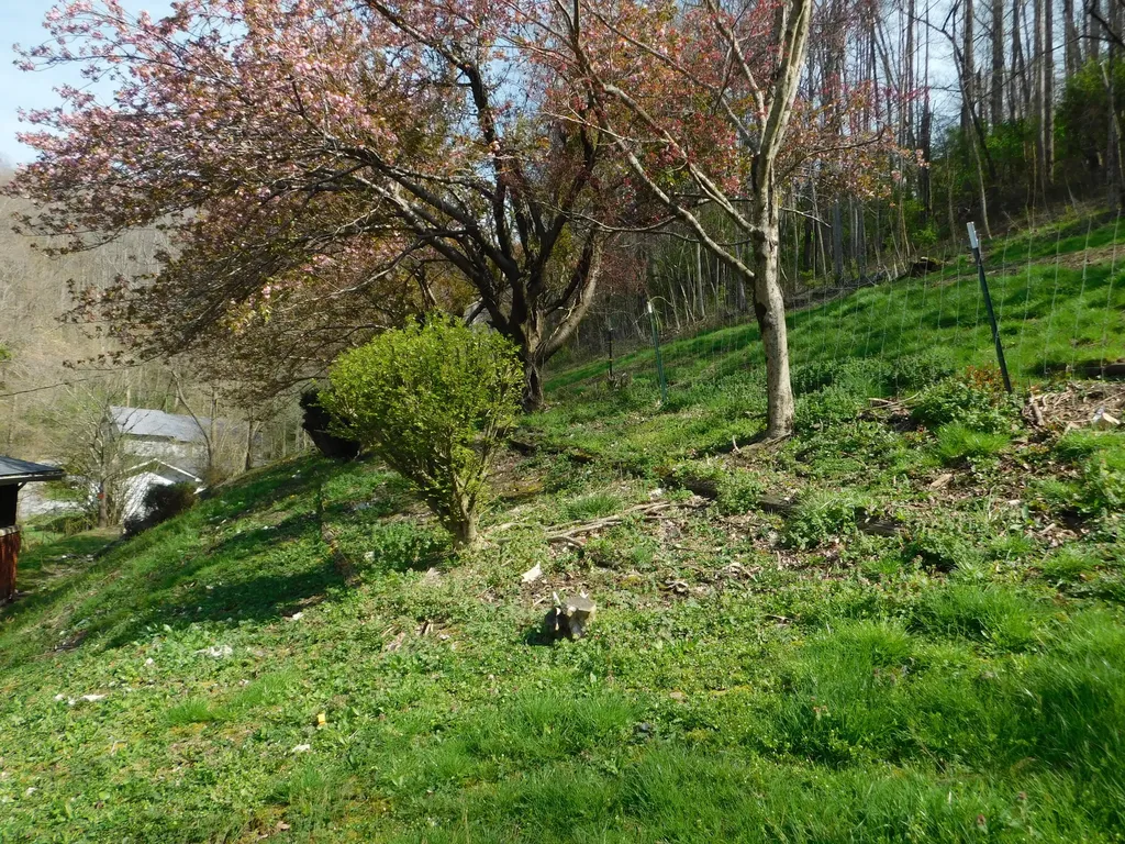 116 Wolf Hollow Road Baxter KY 40806