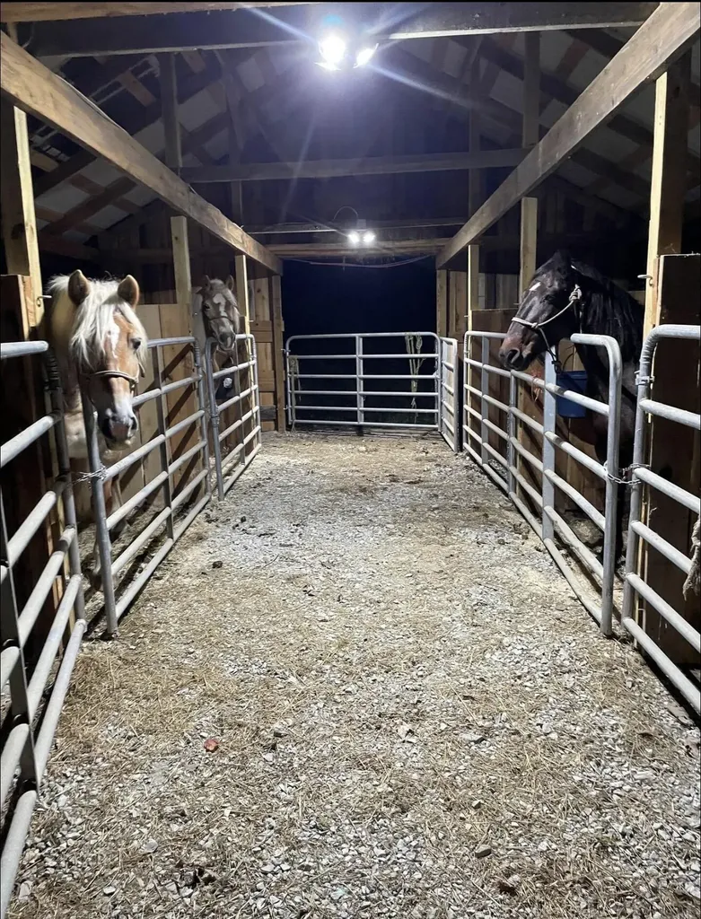 301 Otter Creek Road Strunk KY 42649