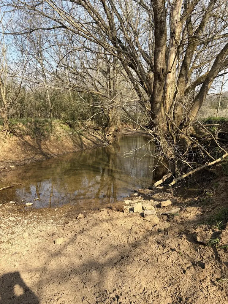 603 State Highway 1003 Somerset KY 42501
