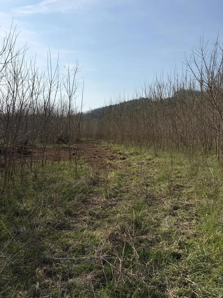 603 State Highway 1003 Somerset KY 42501