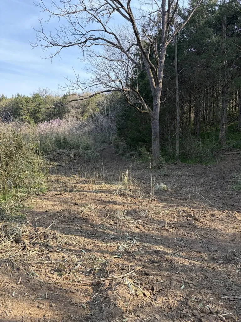 603 State Highway 1003 Somerset KY 42501