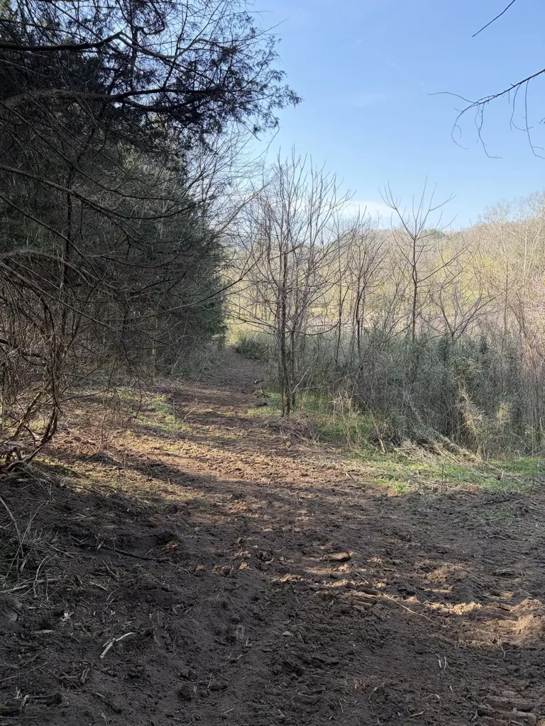 603 State Highway 1003 Somerset KY 42501