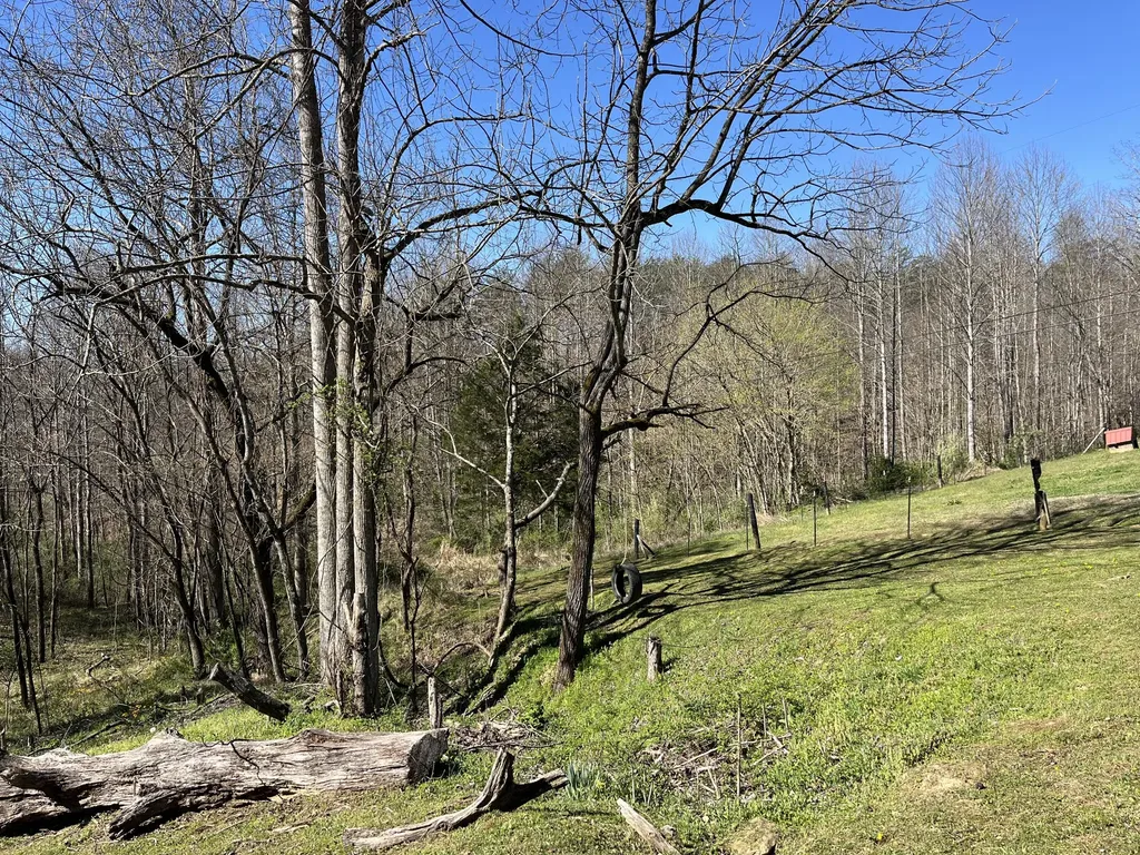 617 Walk Log Branch Road Beattyville KY 41311