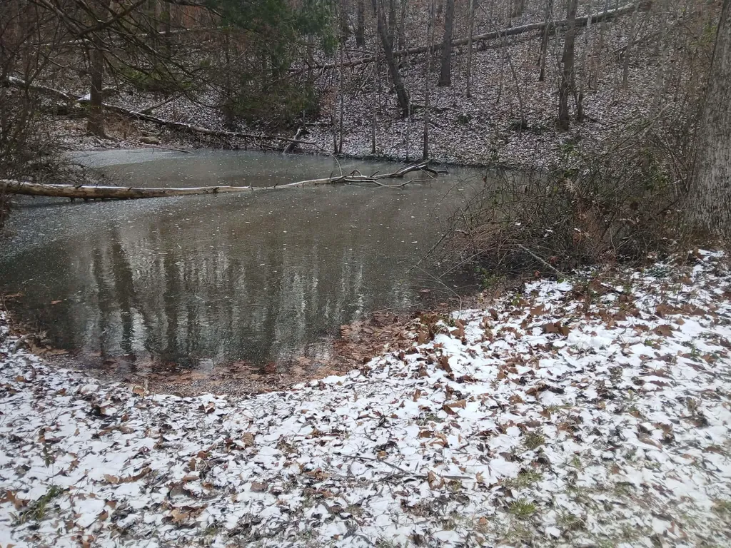 617 Walk Log Branch Road Beattyville KY 41311