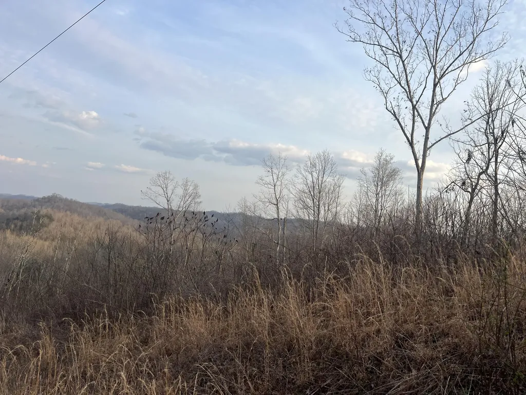 617 Walk Log Branch Road Beattyville KY 41311