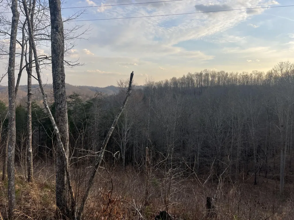 617 Walk Log Branch Road Beattyville KY 41311