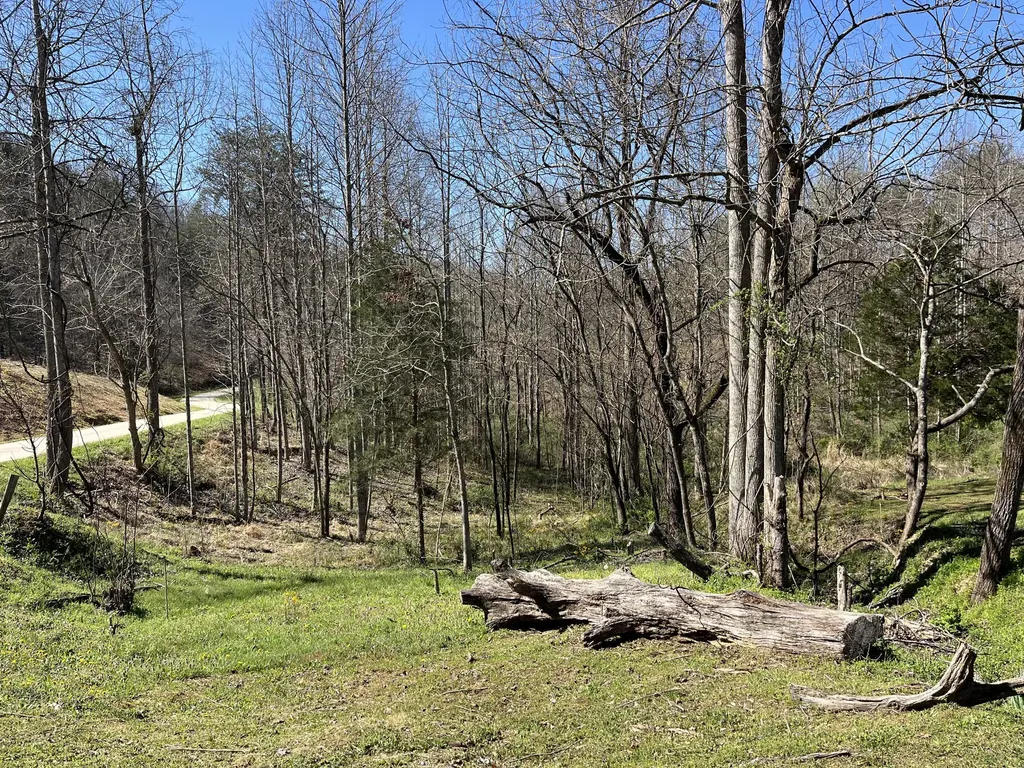 617 Walk Log Branch Road Beattyville KY 41311