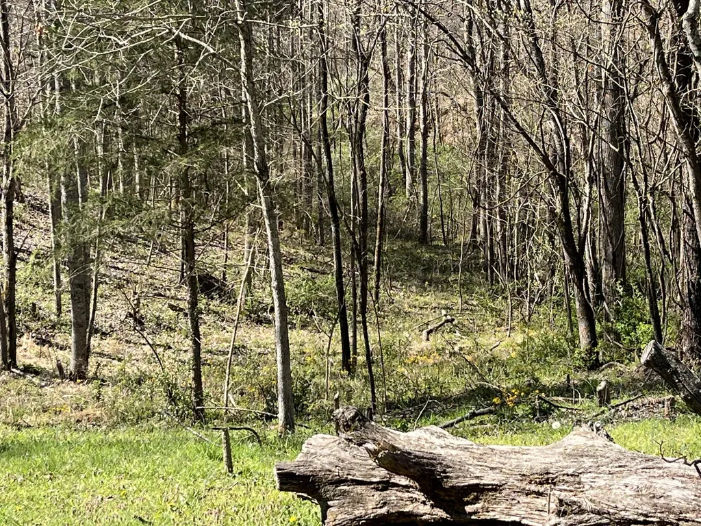 617 Walk Log Branch Road Beattyville KY 41311
