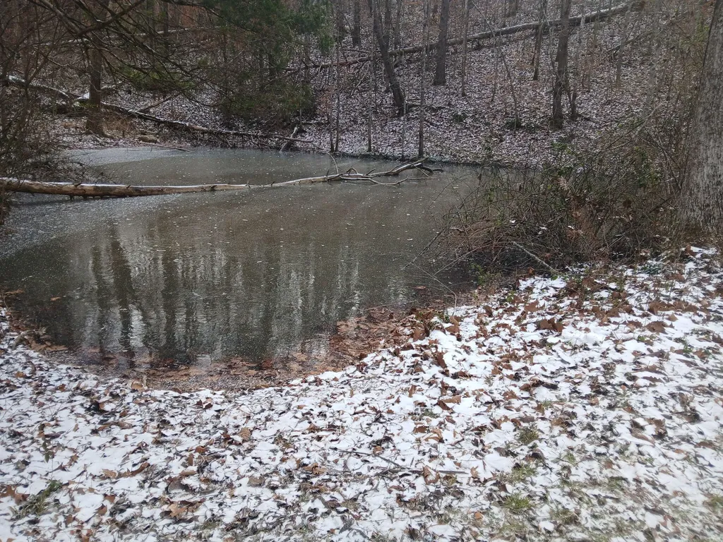 617 Walk Log Branch Road Beattyville KY 41311