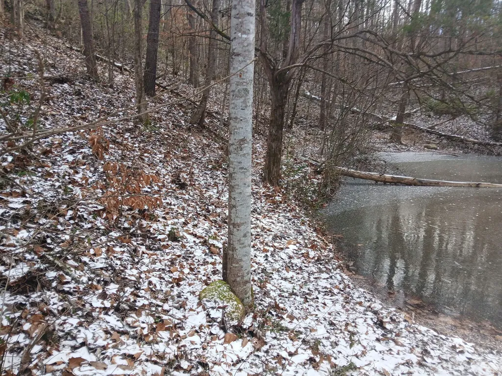 617 Walk Log Branch Road Beattyville KY 41311