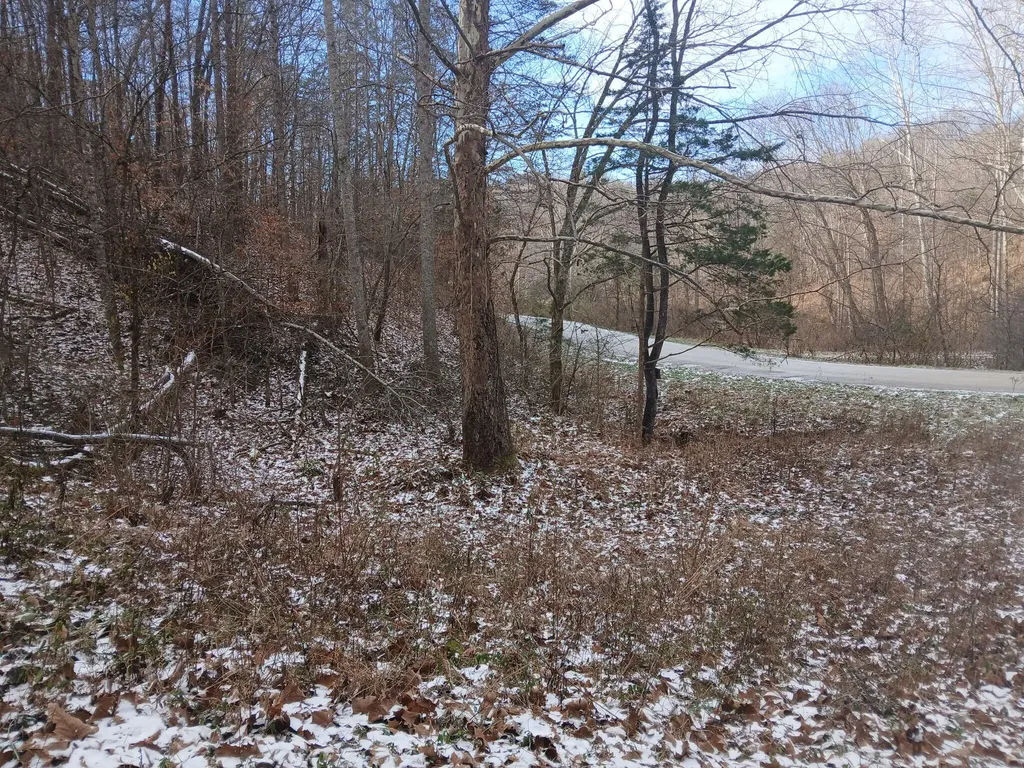 617 Walk Log Branch Road Beattyville KY 41311