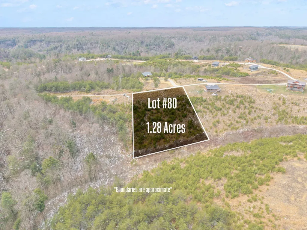 Lot #80 Shawnee Run Rogers KY 41365