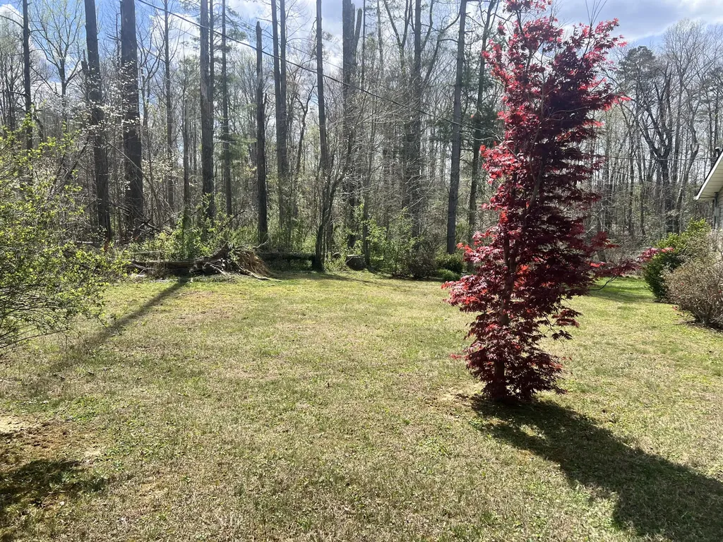 171 Stoney Fork Road Corbin KY 40701