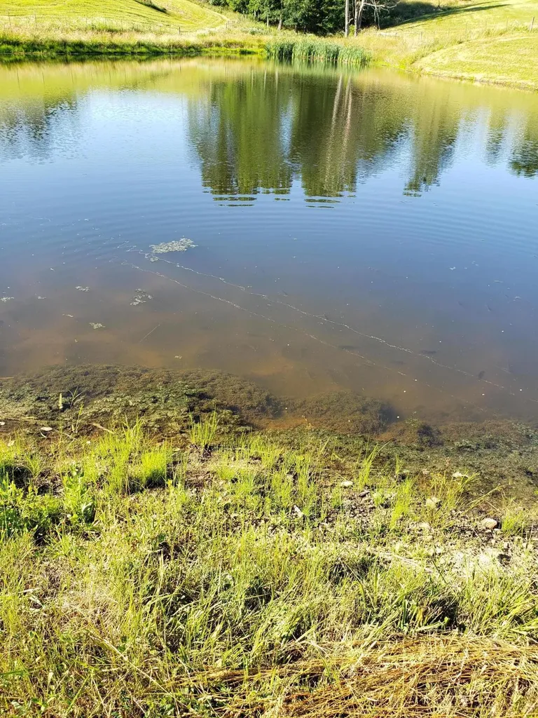Lot 2 2405 Kendrick Ridge Road Frenchburg KY 40322