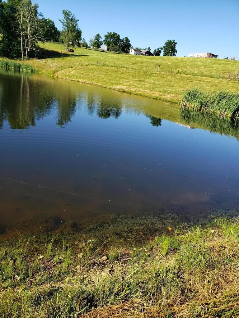 Lot 2 2405 Kendrick Ridge Road Frenchburg KY 40322