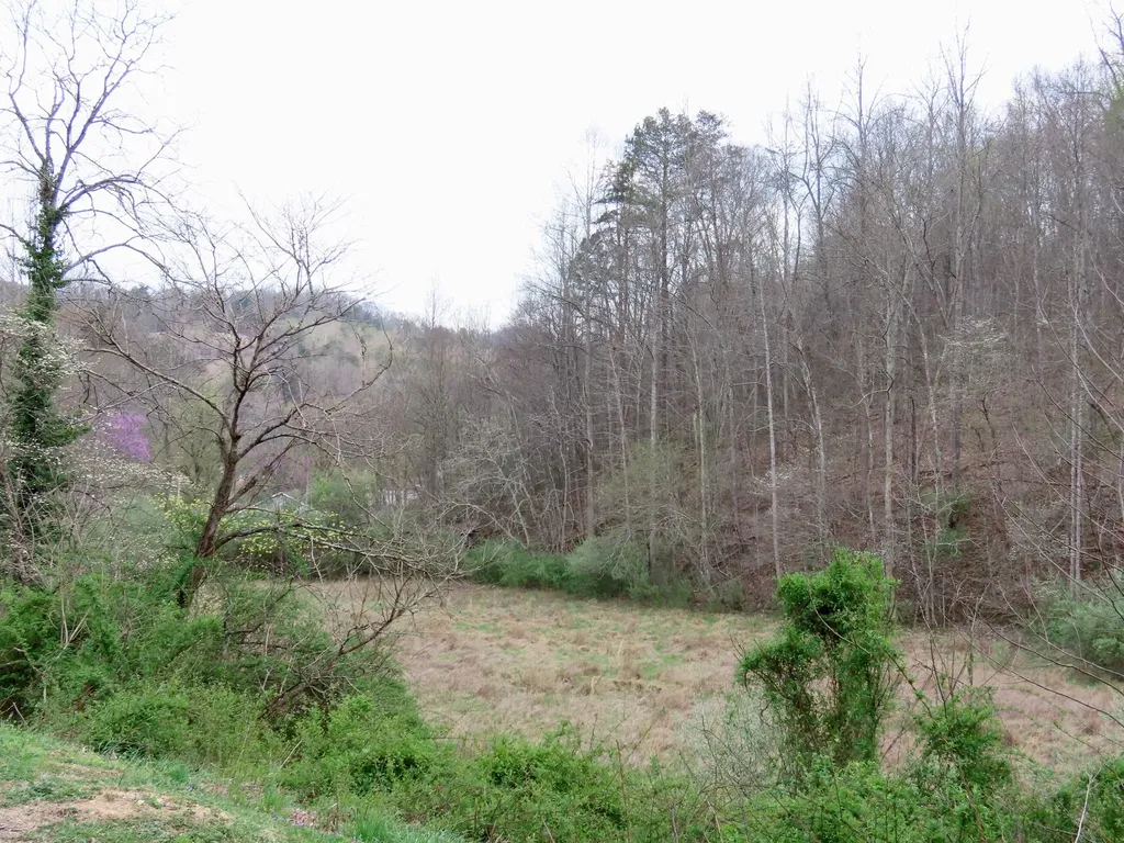 875 Mcneil-corn Creek Road Rockholds KY 40759