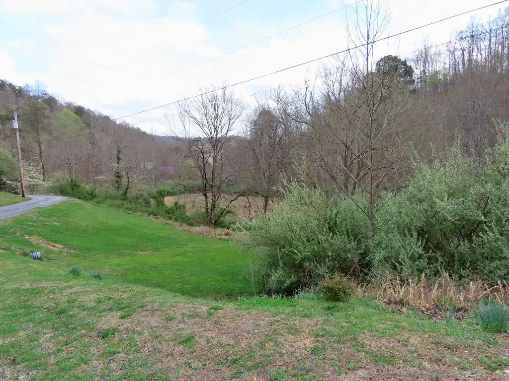 875 Mcneil-corn Creek Road Rockholds KY 40759
