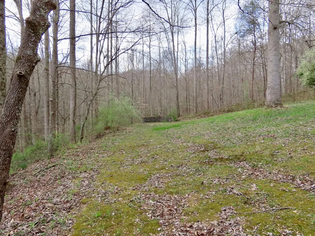 875 Mcneil-corn Creek Road Rockholds KY 40759