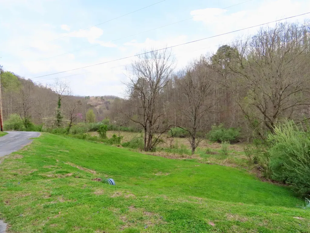875 Mcneil-corn Creek Road Rockholds KY 40759