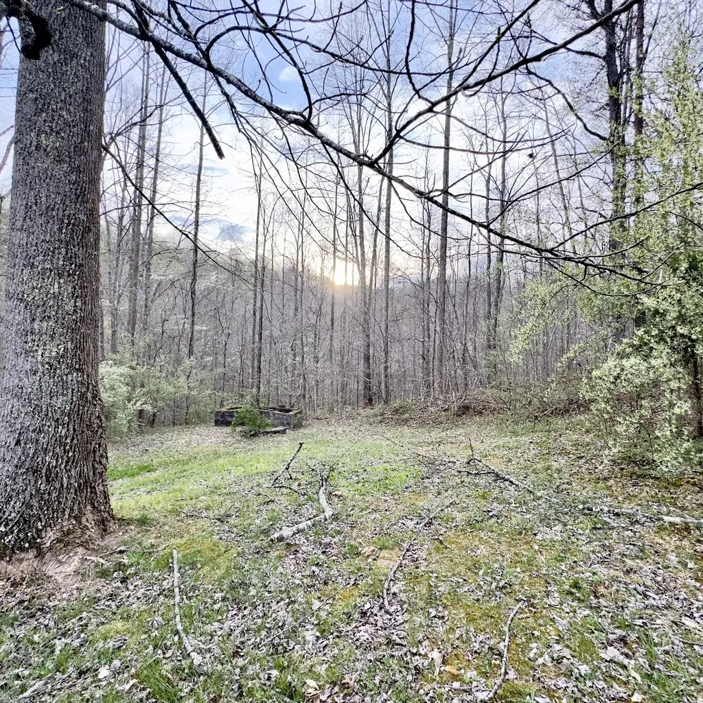 875 Mcneil-corn Creek Road Rockholds KY 40759