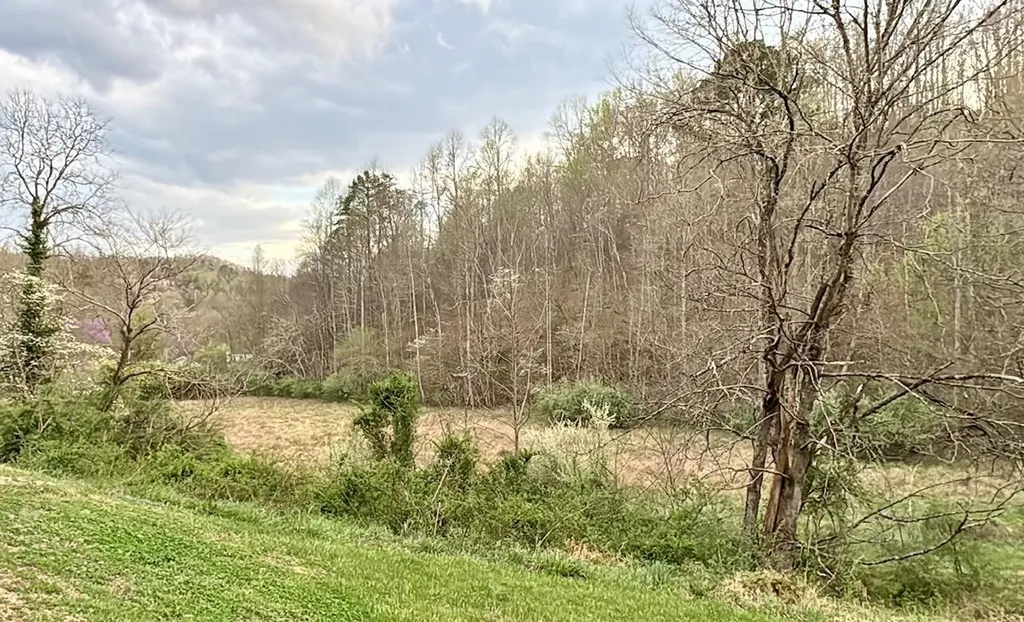 875 Mcneil-corn Creek Road Rockholds KY 40759