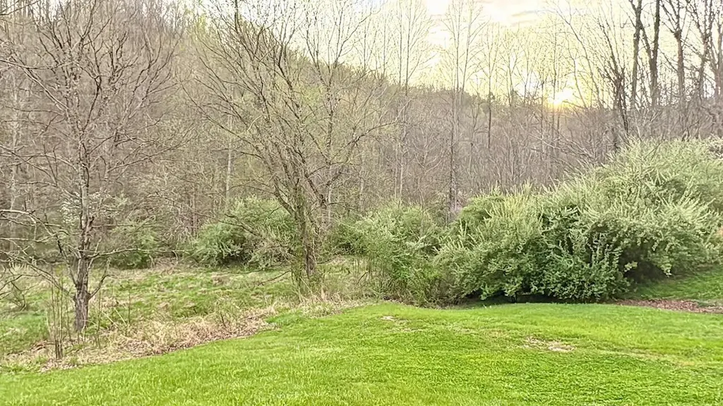 875 Mcneil-corn Creek Road Rockholds KY 40759