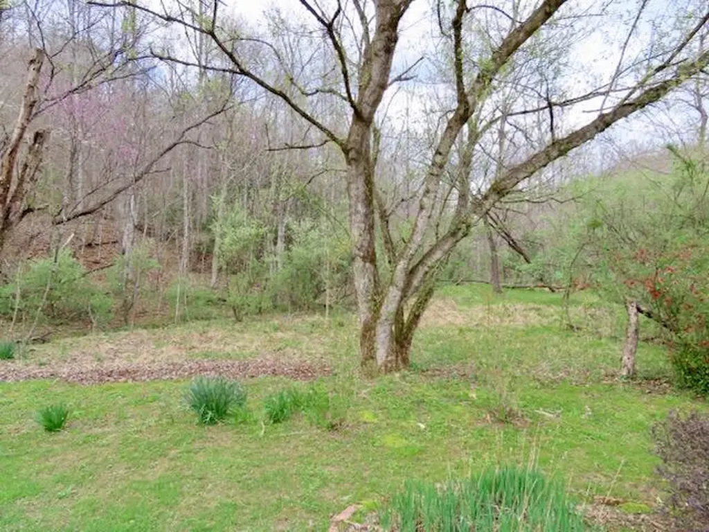 875 Mcneil-corn Creek Road Rockholds KY 40759