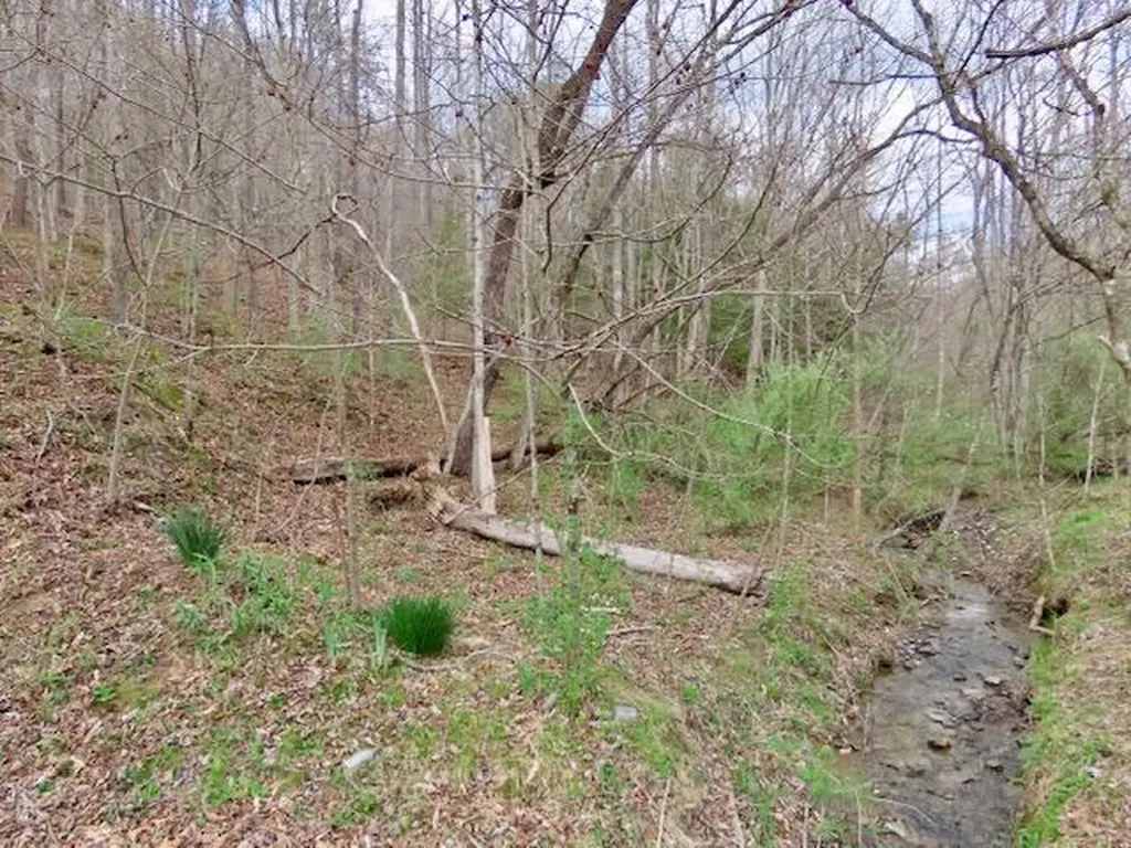 875 Mcneil-corn Creek Road Rockholds KY 40759