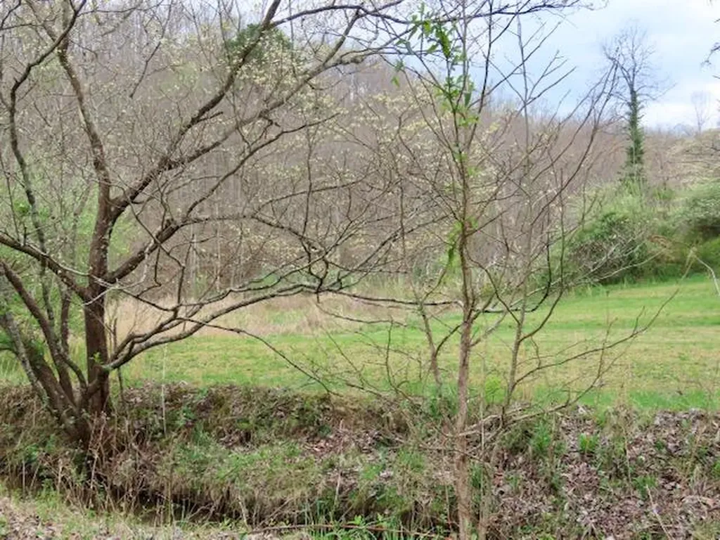 875 Mcneil-corn Creek Road Rockholds KY 40759