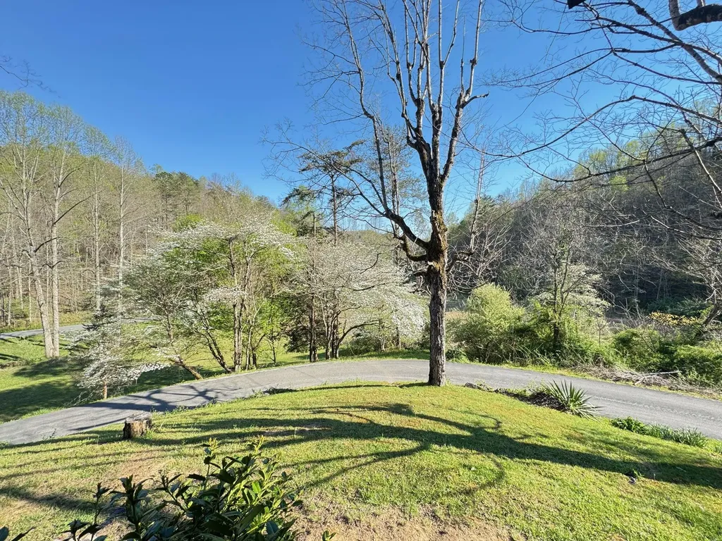 875 Mcneil-corn Creek Road Rockholds KY 40759