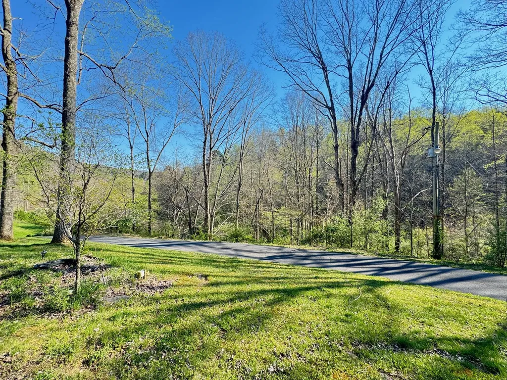 875 Mcneil-corn Creek Road Rockholds KY 40759