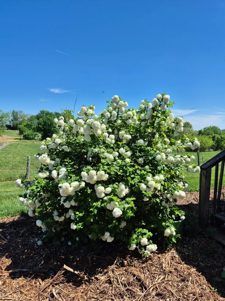 140 Parsons Lane Harrodsburg KY 40330