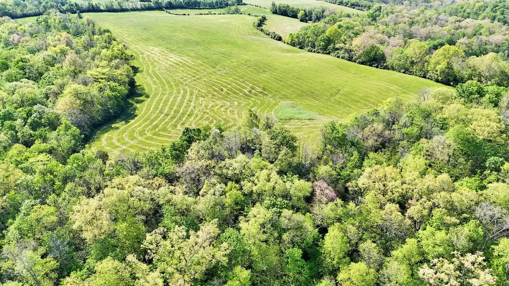 2300 Oregon Road Salvisa KY 40372