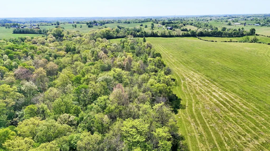 2300 Oregon Road Salvisa KY 40372