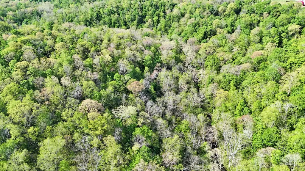 2300 Oregon Road Salvisa KY 40372