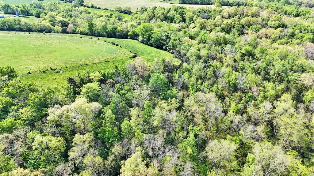2300 Oregon Road Salvisa KY 40372