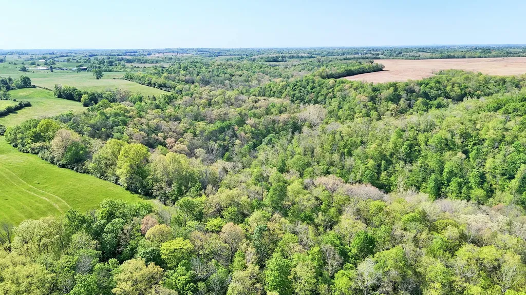 2300 Oregon Road Salvisa KY 40372