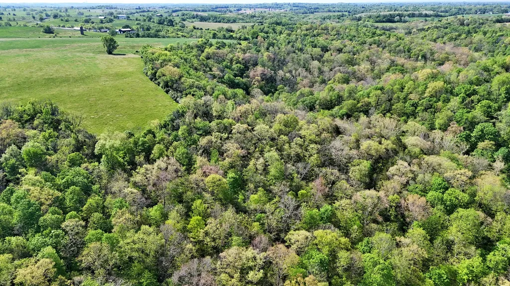 2300 Oregon Road Salvisa KY 40372