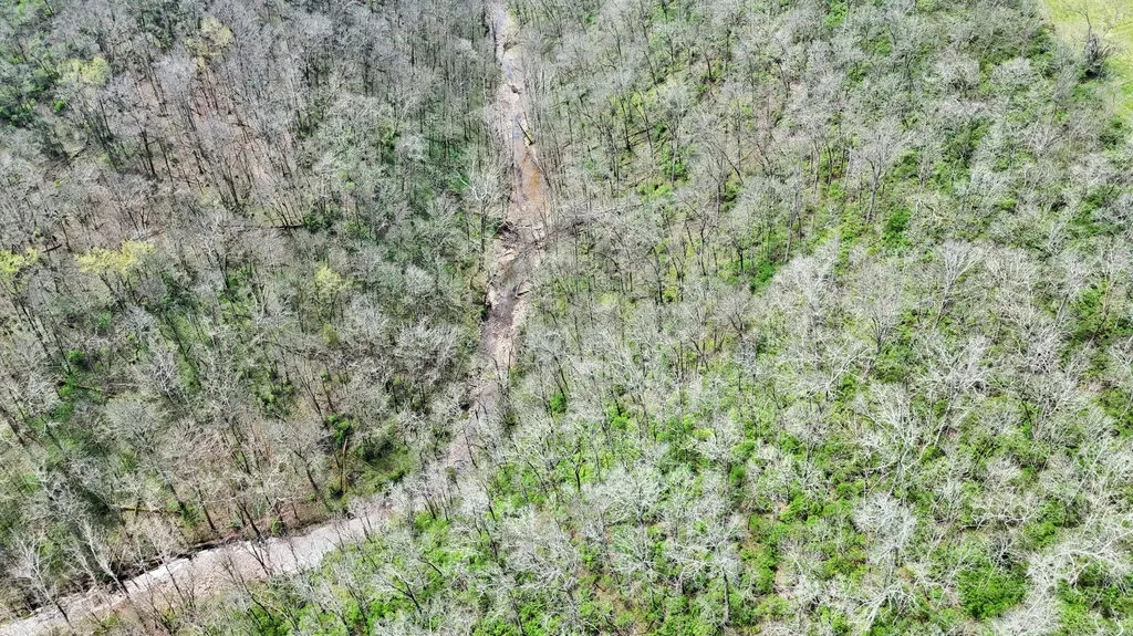 2300 Oregon Road Salvisa KY 40372