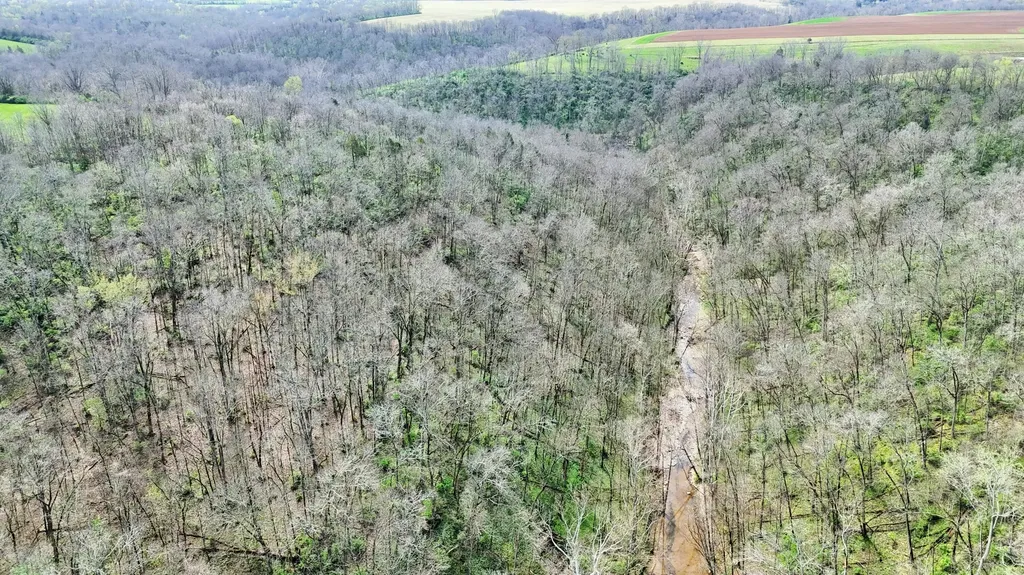 2300 Oregon Road Salvisa KY 40372
