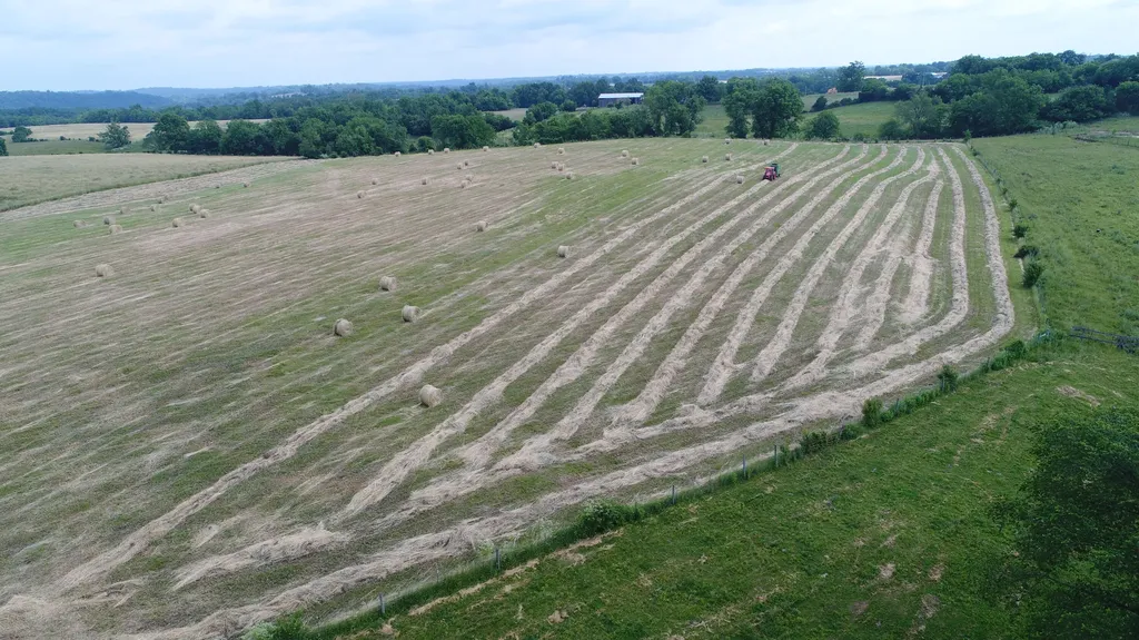 2300 Oregon Road Salvisa KY 40372