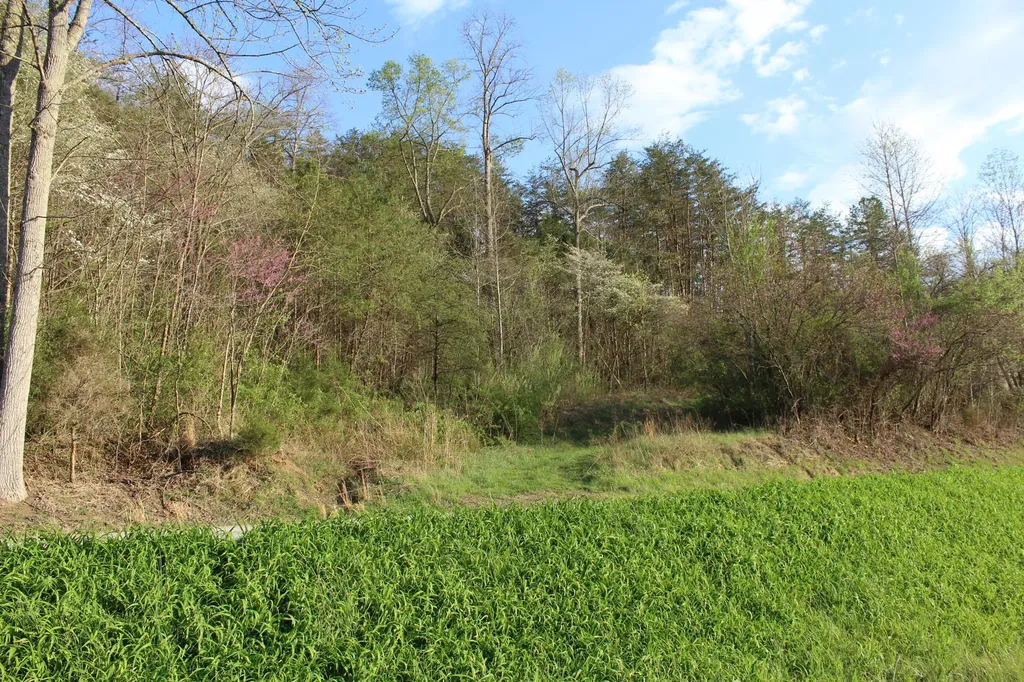 3602 Wagersville Road Irvine KY 40336
