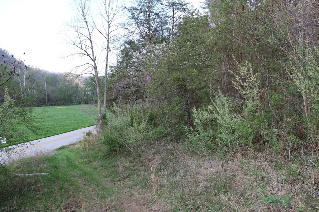 3602 Wagersville Road Irvine KY 40336