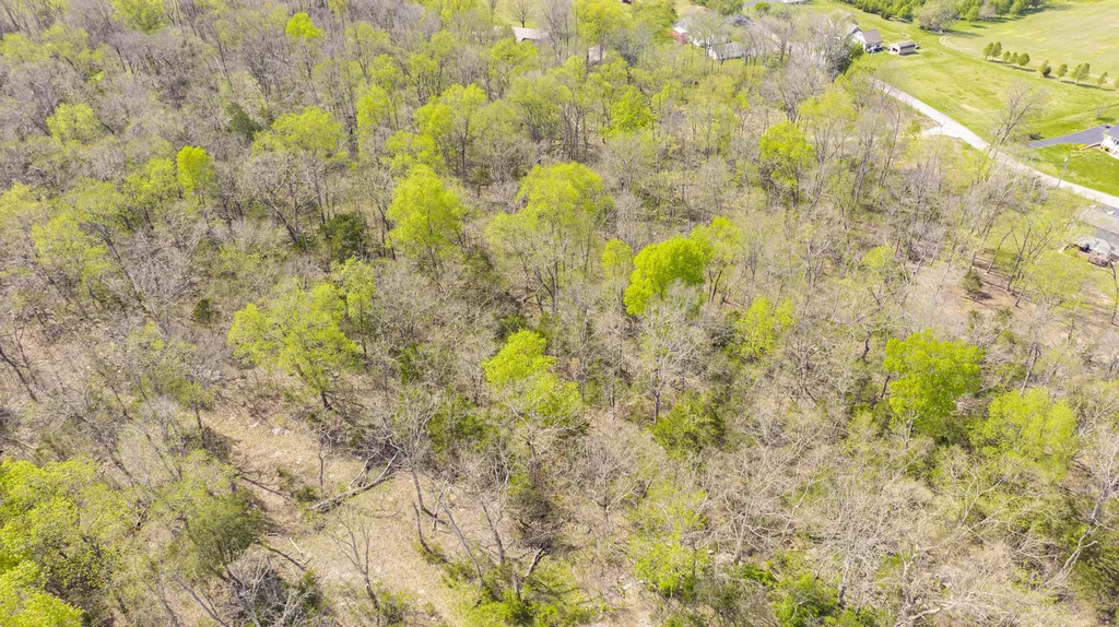 80 Deer Trail Monticello KY 42633