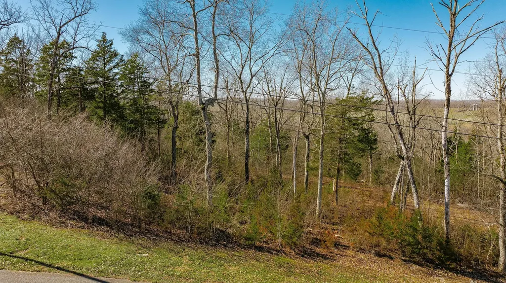 80 Deer Trail Monticello KY 42633